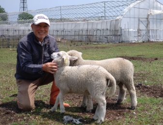 梅坪氏と子羊の画像